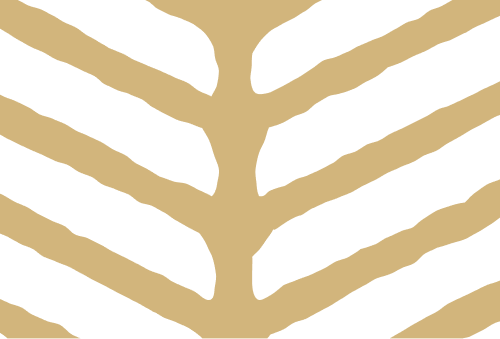 logo Palm City